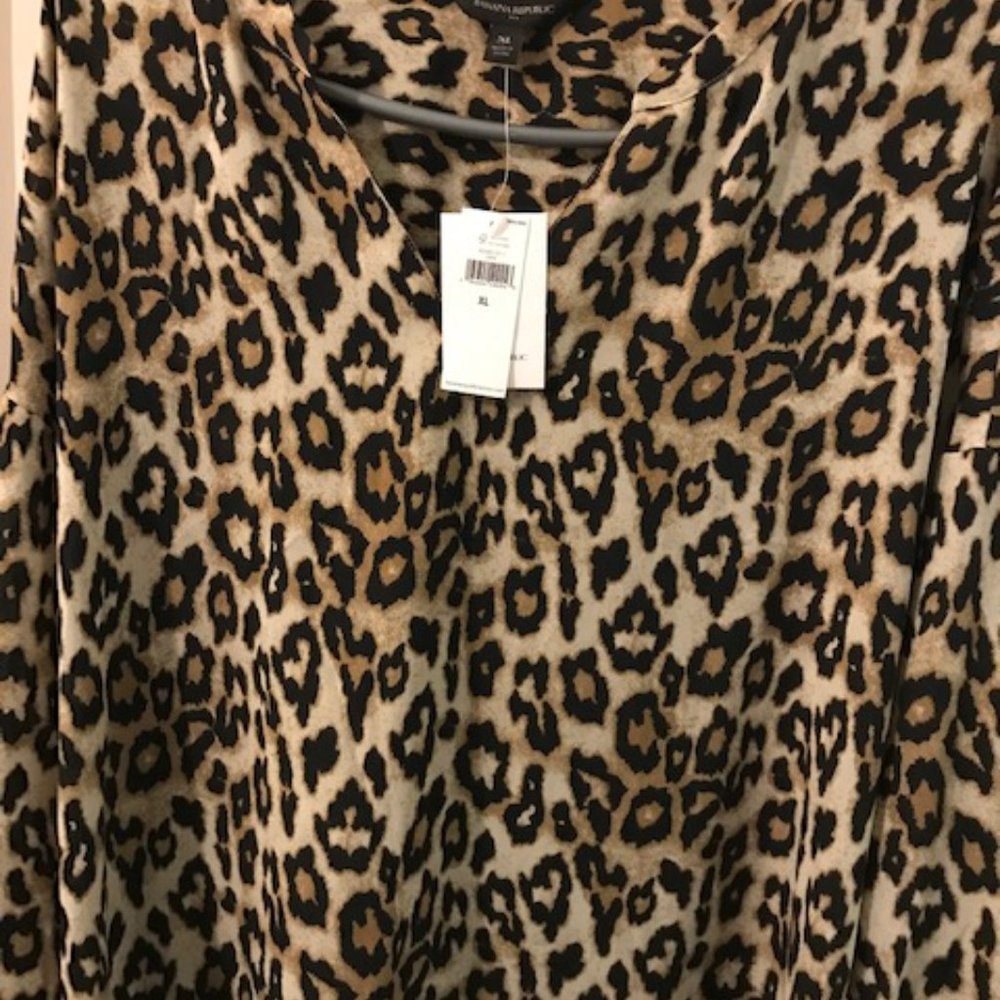 Banana Republic  v neck top